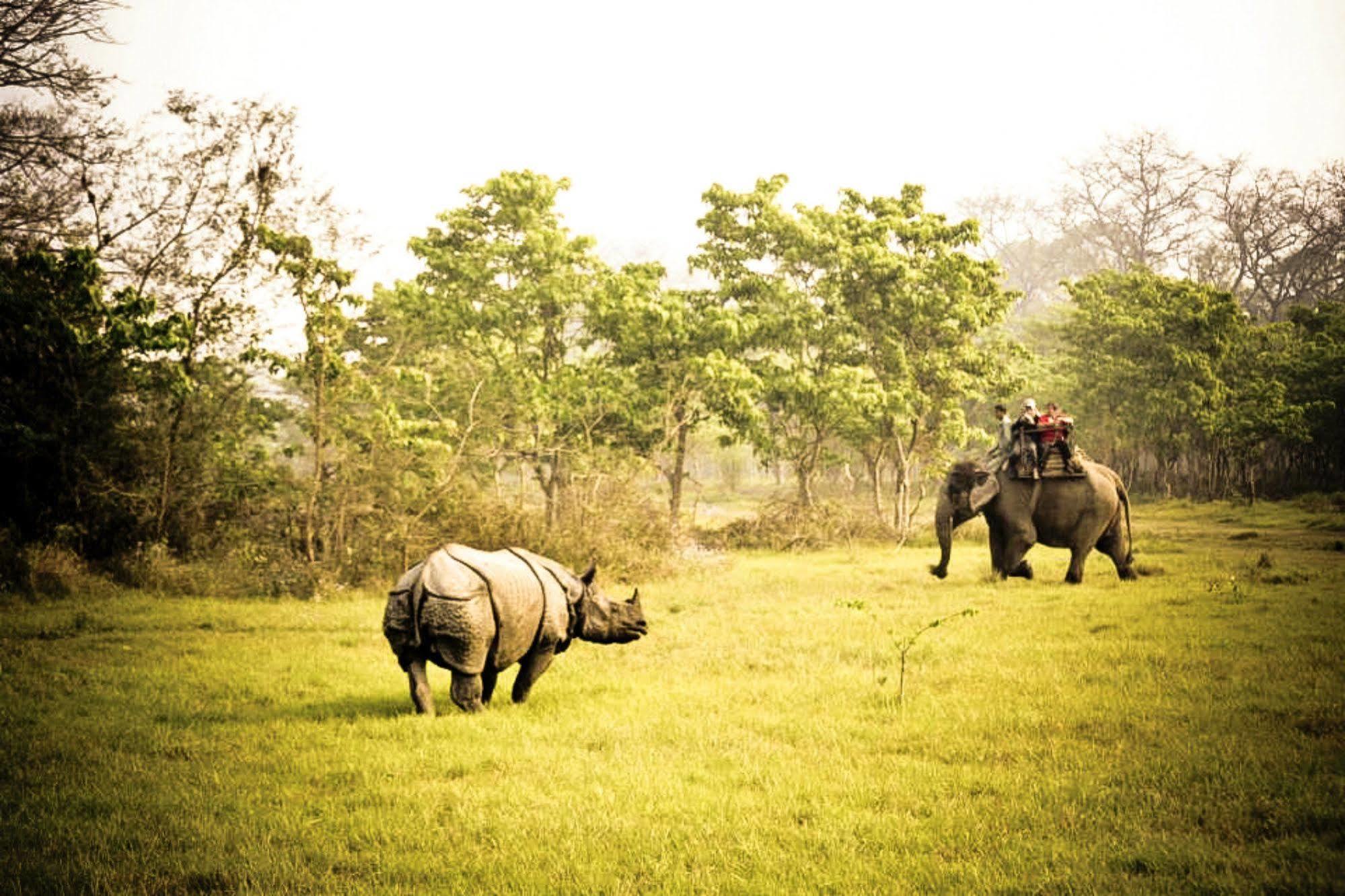 Machan Country Villa Kumarwarti Exteriör bild
